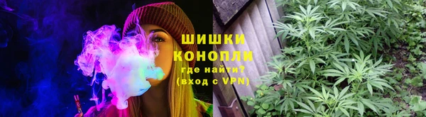 шишки Кодинск