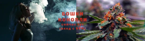 шишки Кодинск