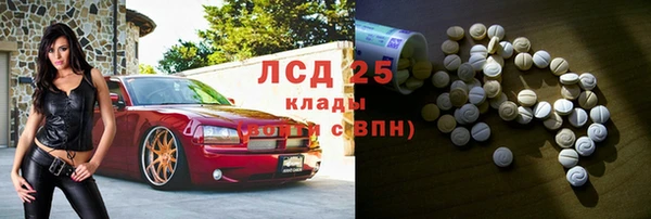 шишки Коряжма